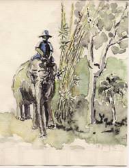 Thailand Chiang Rai - Elefant m. Mahut.jpg